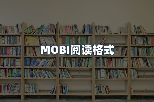 EPUB电子书